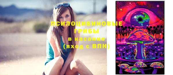 ешки Надым