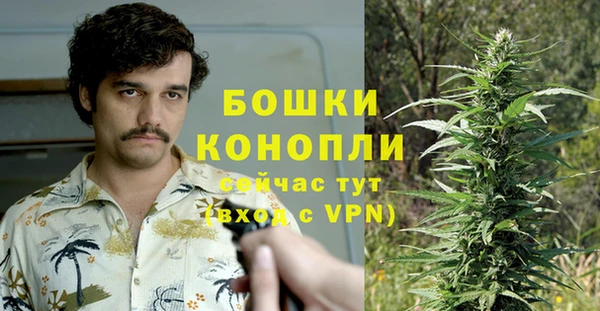 ешки Надым