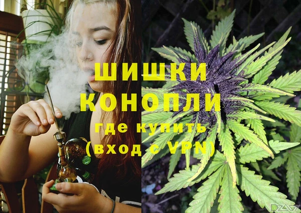 ешки Надым