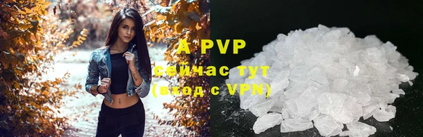 ешки Надым